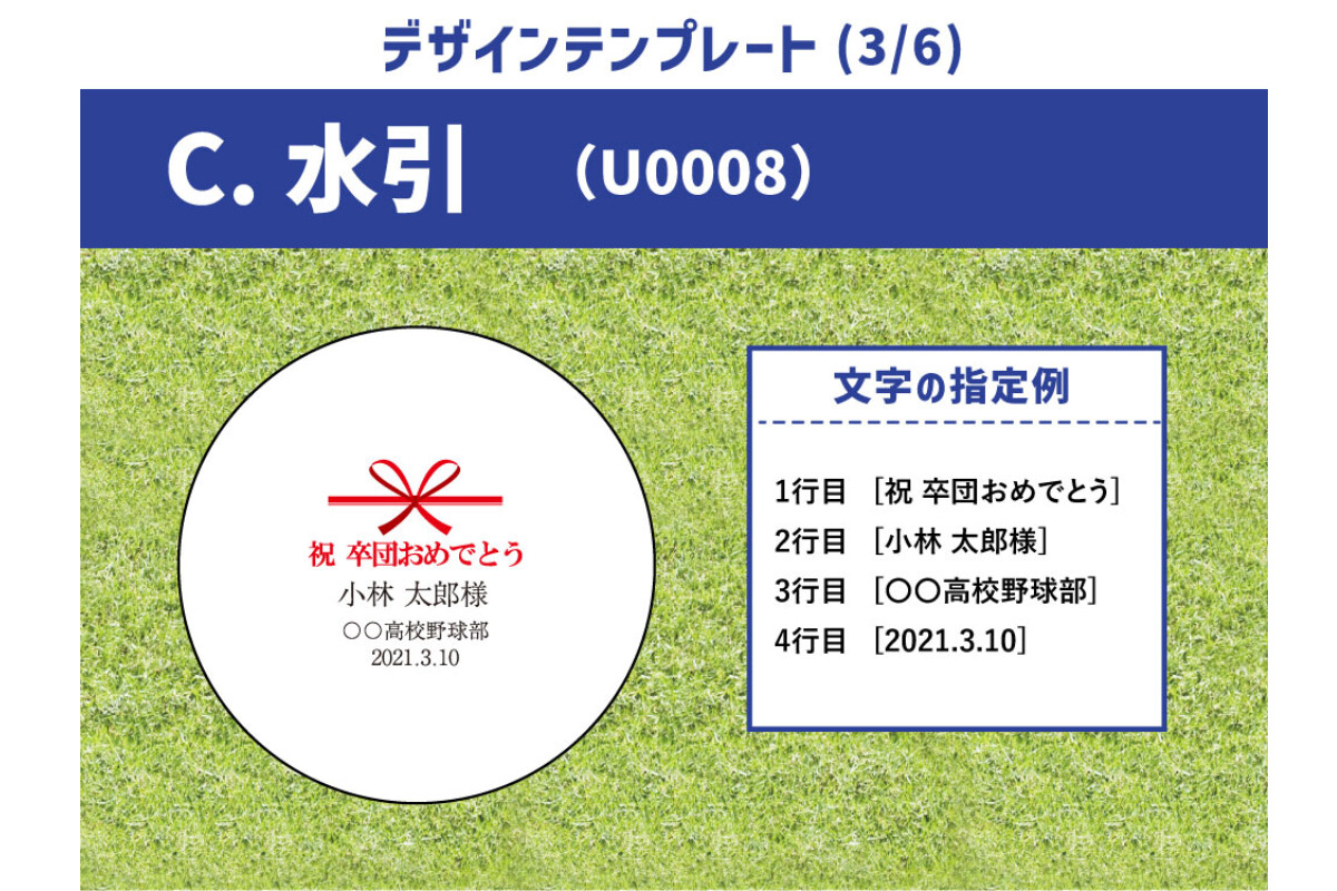 【6～10球まで】名前入り野球ボール【特注】