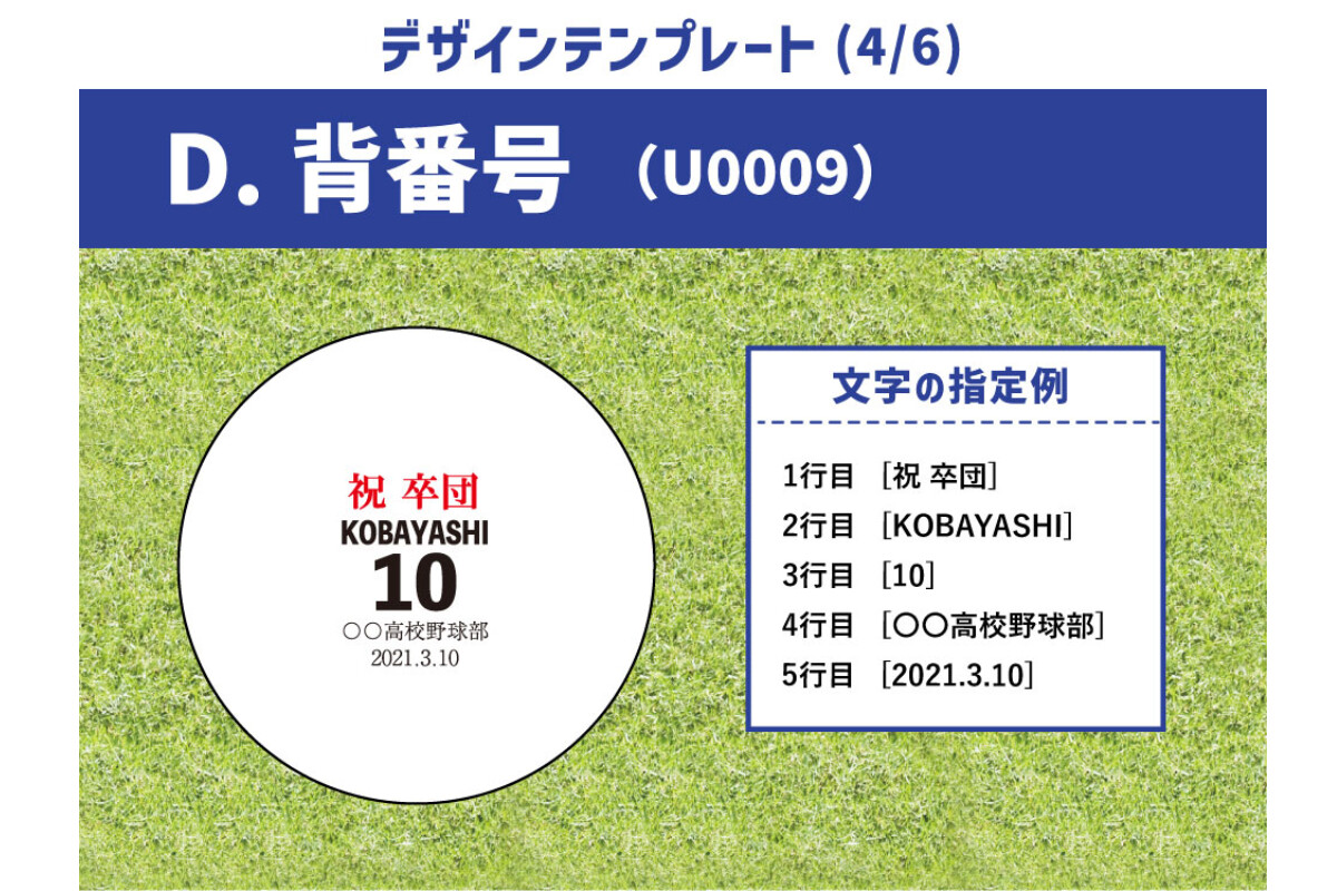 【6～10球まで】名前入り野球ボール【特注】