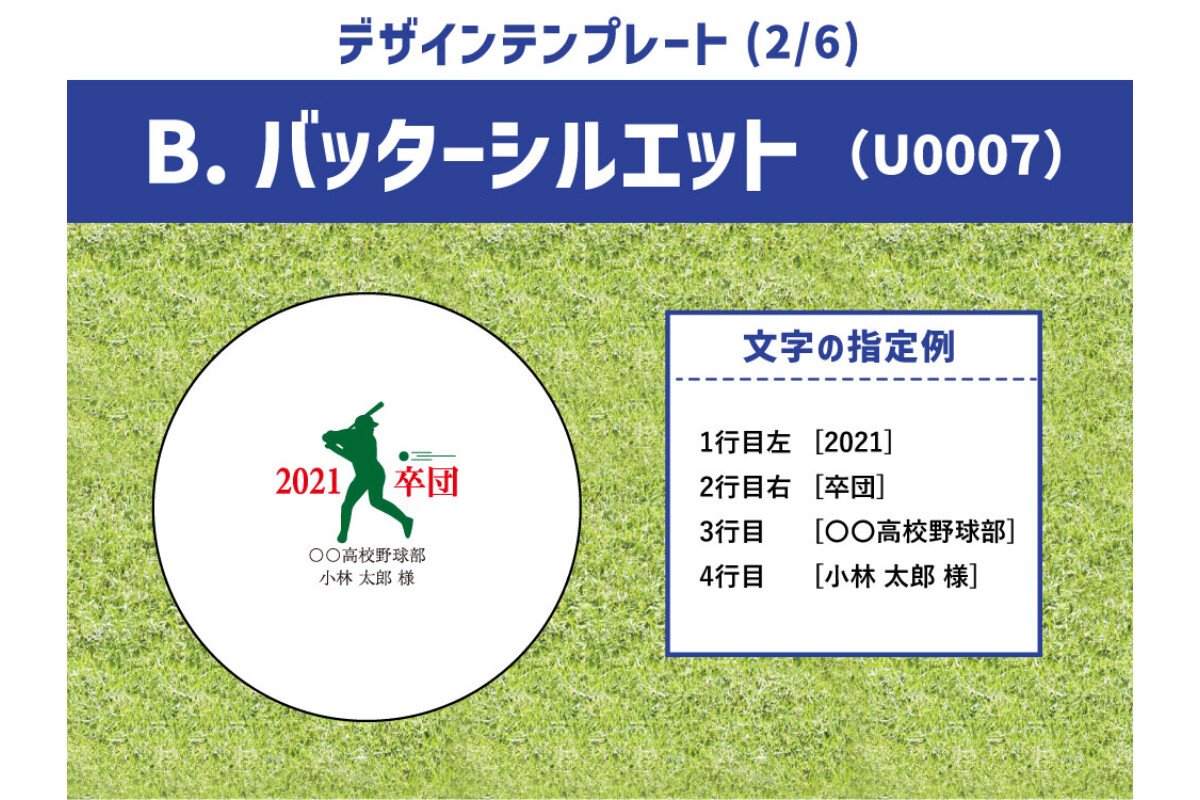 【6～10球まで】名前入り野球ボール【特注】
