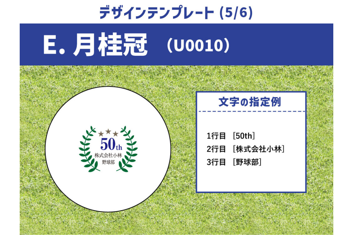 【6～10球まで】名前入り野球ボール【特注】
