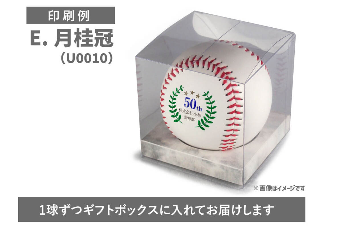 【6～10球まで】名前入り野球ボール【特注】